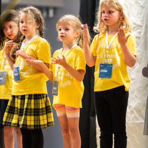 feisphaislig_2025_107